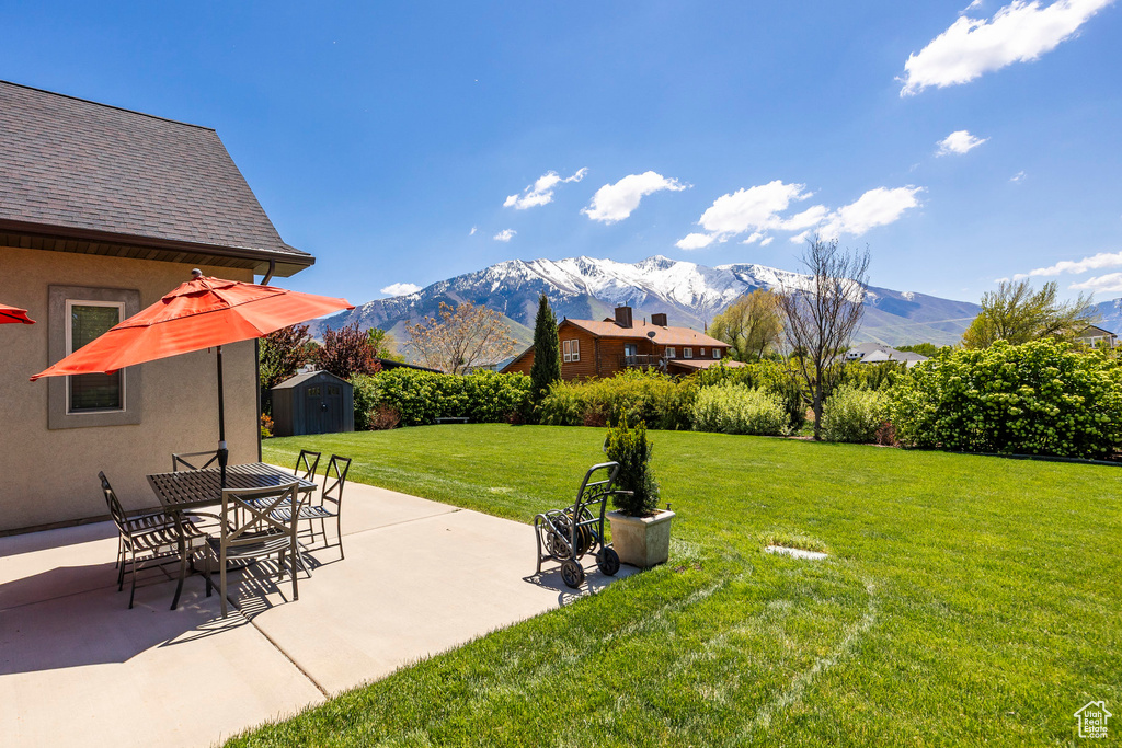 View of yard with a mountain view, a patio, a shed, and an outbuilding