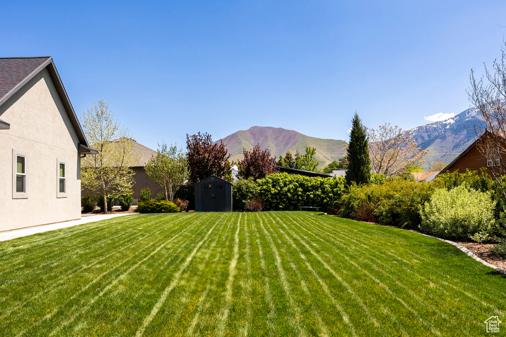View of yard with a storage shed, a mountain view, and an outdoor structure