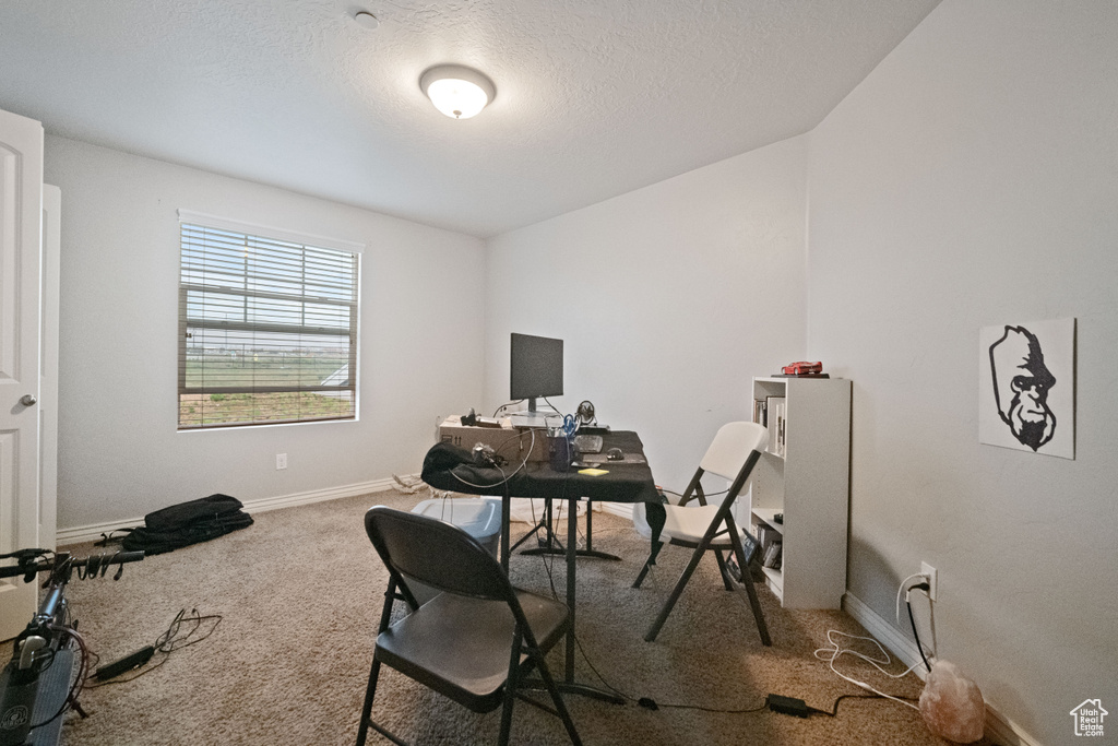 Office area with baseboards, a textured ceiling, and carpet
