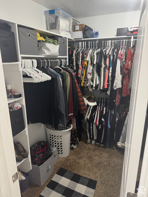 Spacious closet featuring carpet flooring