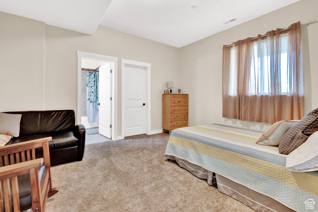 Bedroom featuring ensuite bath, carpet floors, visible vents, and multiple windows