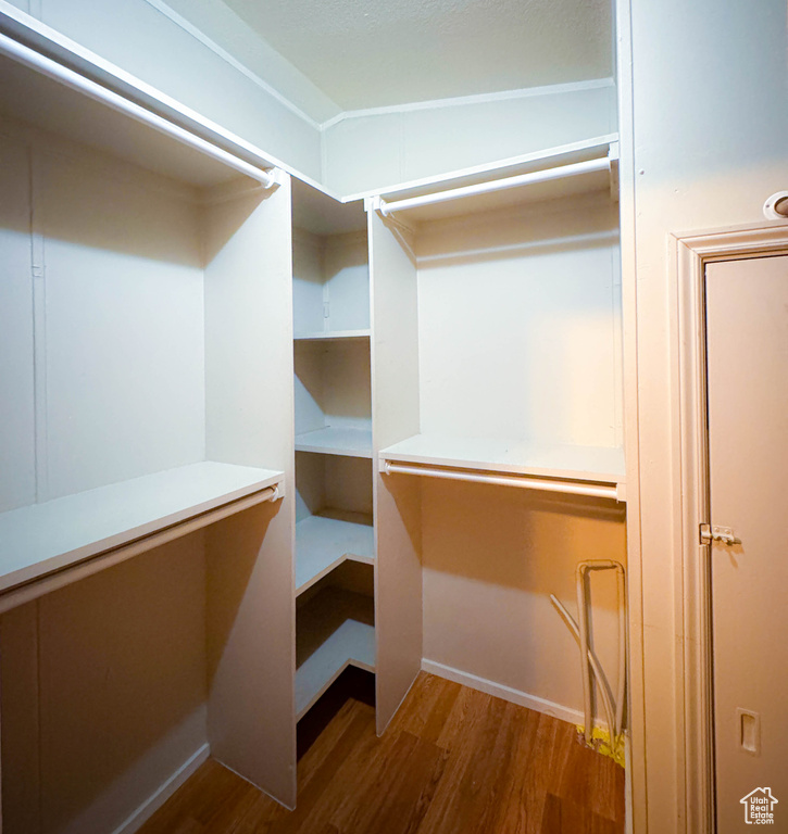 Walk in closet featuring wood finished floors