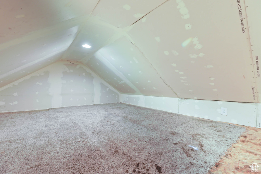 Bonus room with lofted ceiling