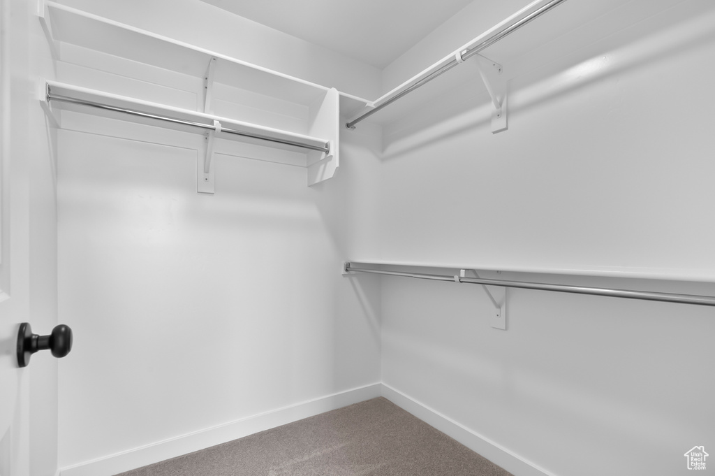 Walk in closet with carpet
