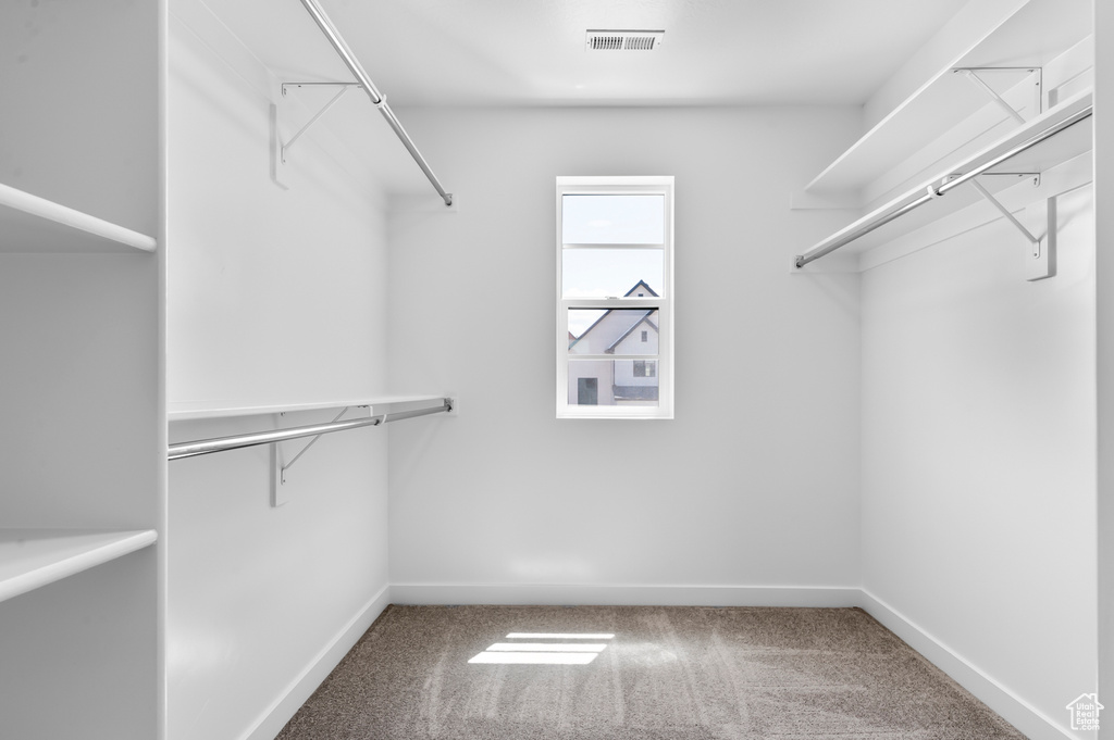 Spacious closet with carpet