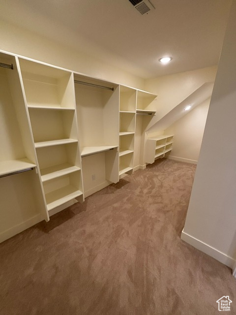 Spacious closet with carpet floors