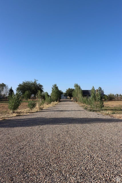 View of road