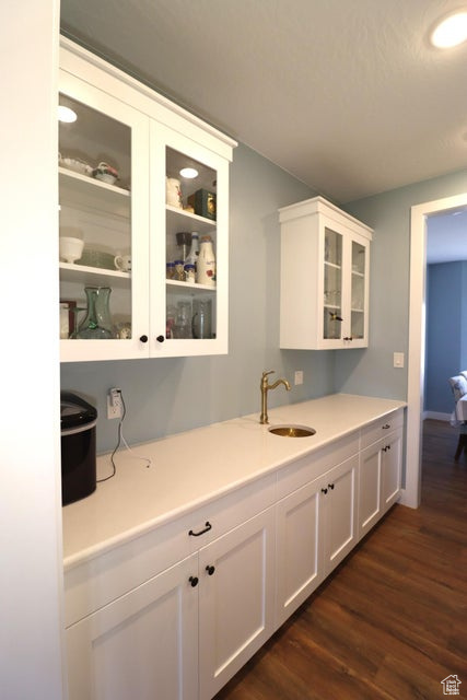 Bar with a sink and dark wood-type flooring