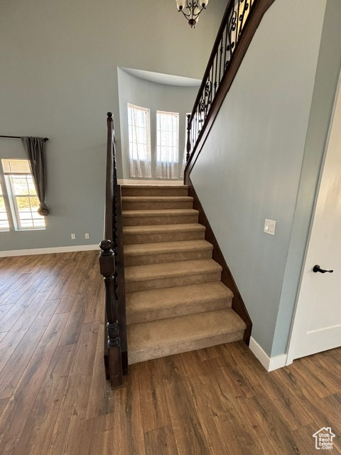 Stairs featuring wood finished floors, baseboards, and plenty of natural light