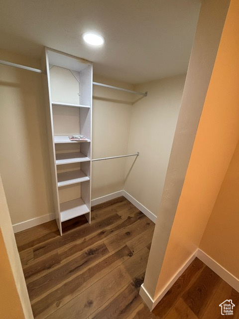 Spacious closet featuring wood finished floors