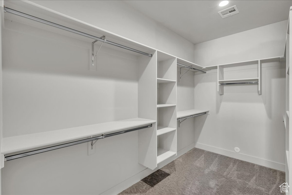 Walk in closet with visible vents and carpet floors