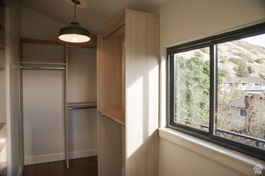 Spacious closet with dark wood-style flooring