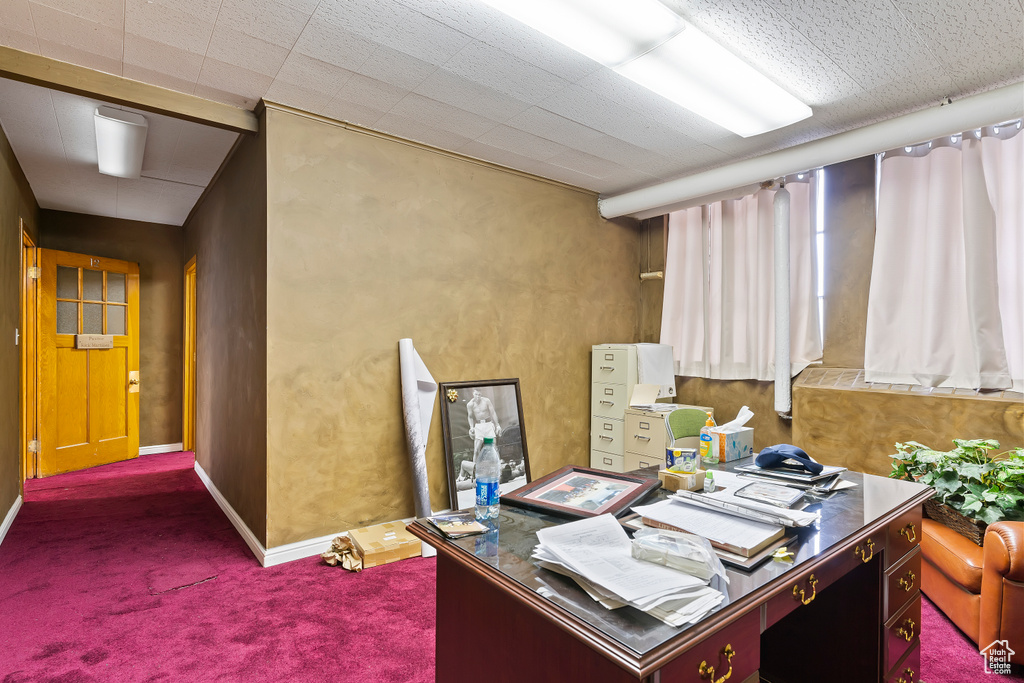 Home office featuring baseboards and carpet floors