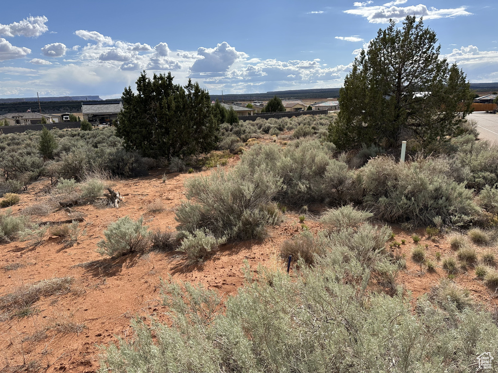 View of nature