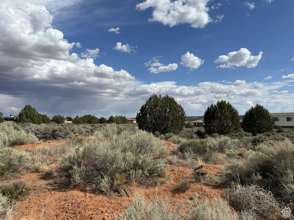 View of local wilderness