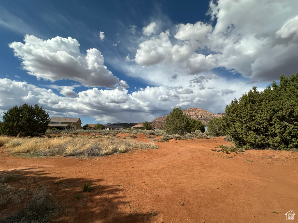 View of local wilderness