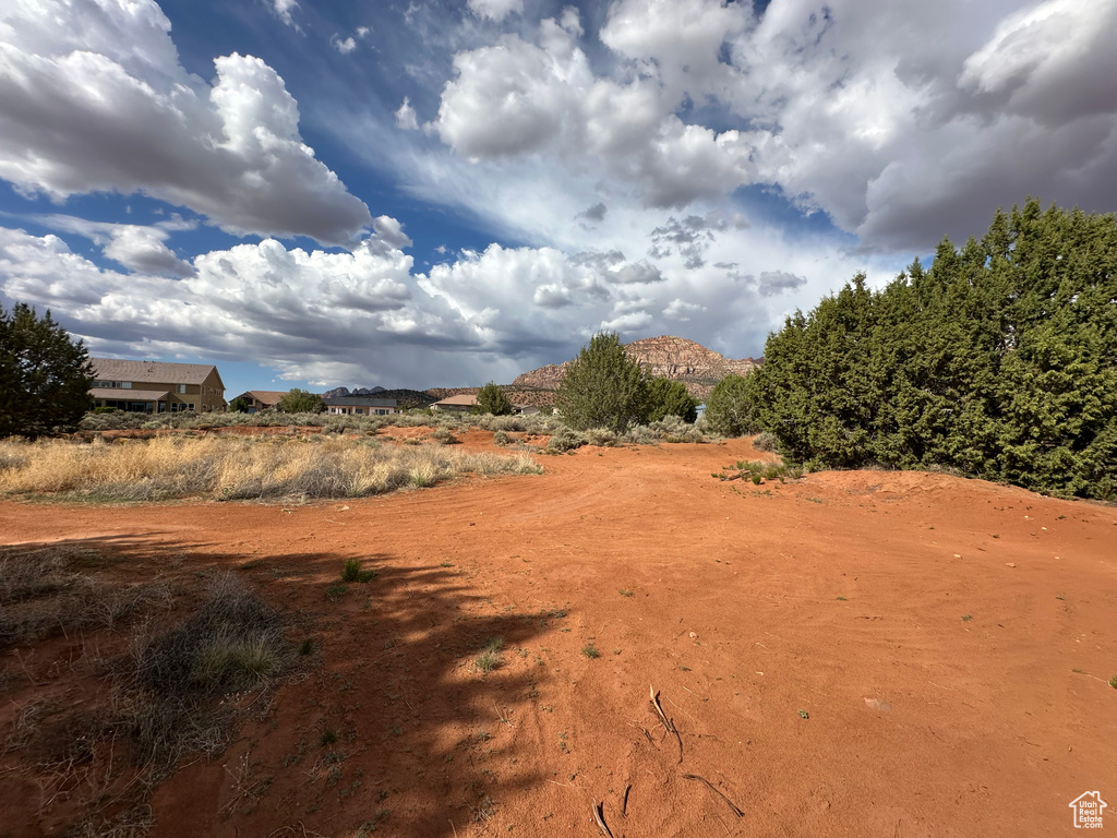 View of local wilderness