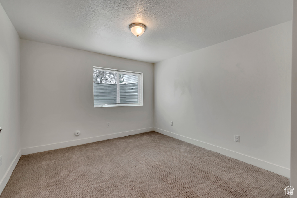 Spare room with light colored carpet, a textured ceiling, and baseboards