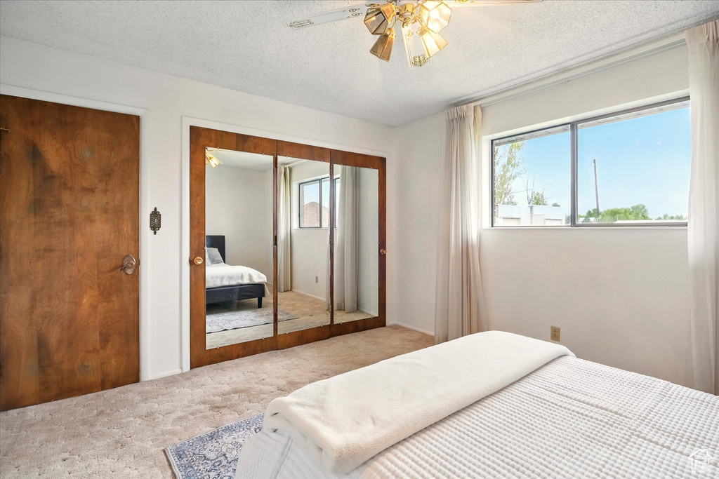 Carpeted bedroom with multiple windows, a textured ceiling, a closet, and a ceiling fan