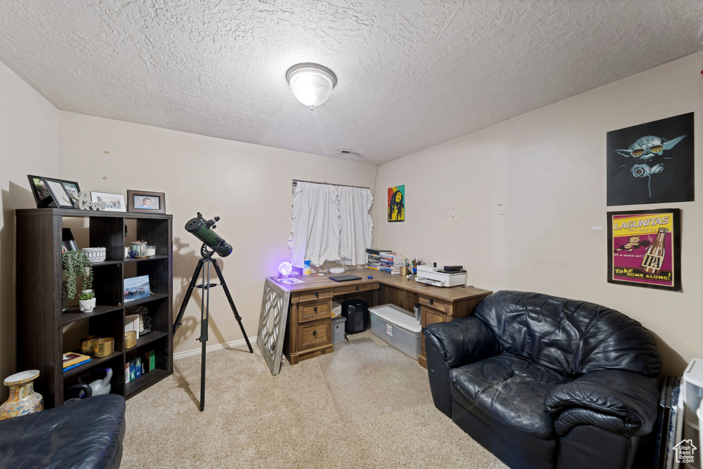 Carpeted home office featuring a textured ceiling and baseboards