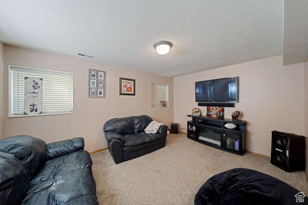 Living area with carpet flooring, a textured ceiling, and baseboards