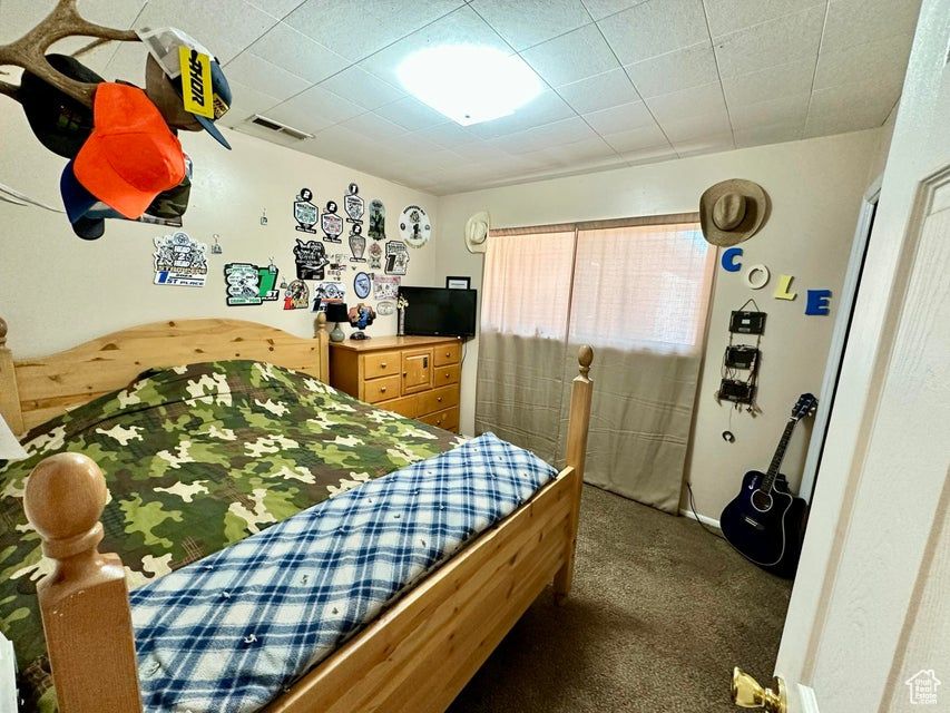 Carpeted bedroom featuring visible vents