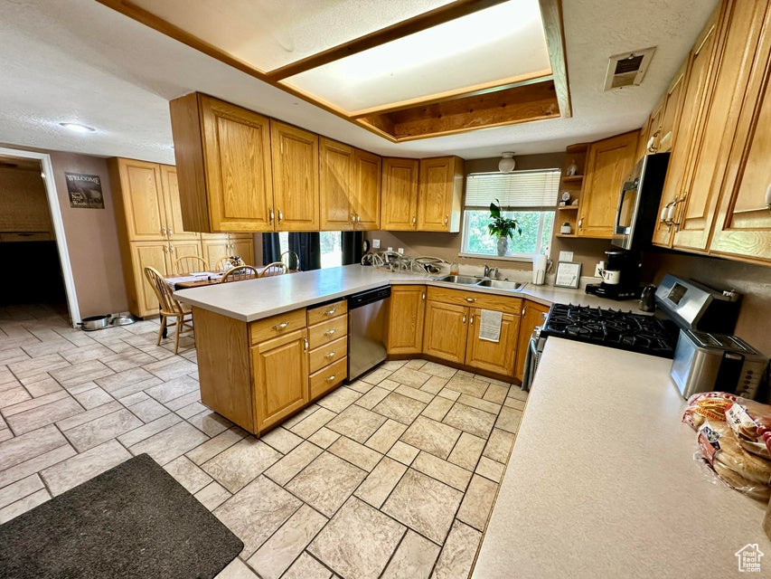 Kitchen with a sink, a peninsula, light countertops, and appliances with stainless steel finishes