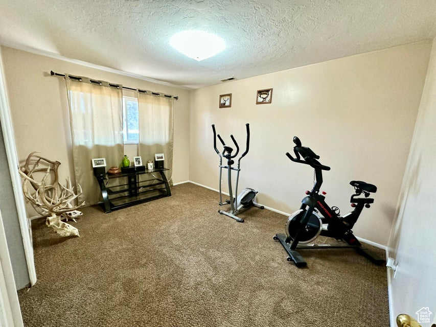 Workout room featuring baseboards, carpet floors, visible vents, and a textured ceiling