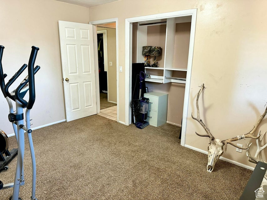 Workout room featuring baseboards and carpet flooring
