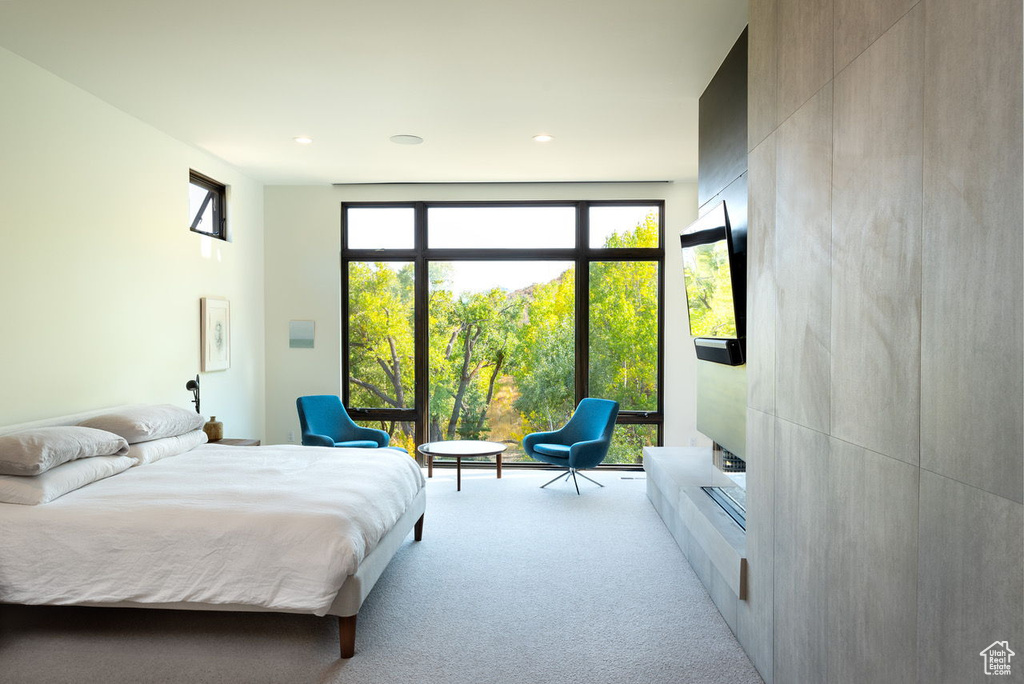 Bedroom featuring carpet flooring and recessed lighting