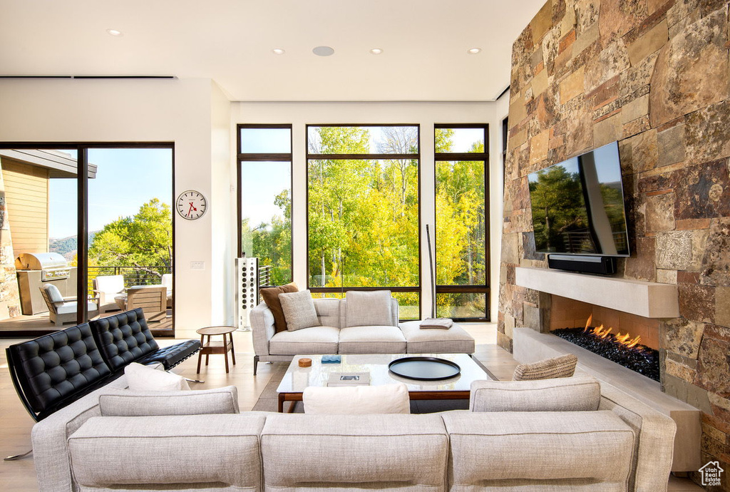 Living room featuring wood finished floors and a stone fireplace