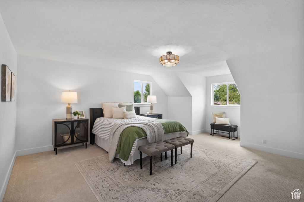 Bedroom featuring multiple windows, light carpet, and baseboards
