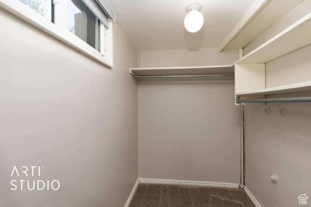 Walk in closet featuring carpet flooring