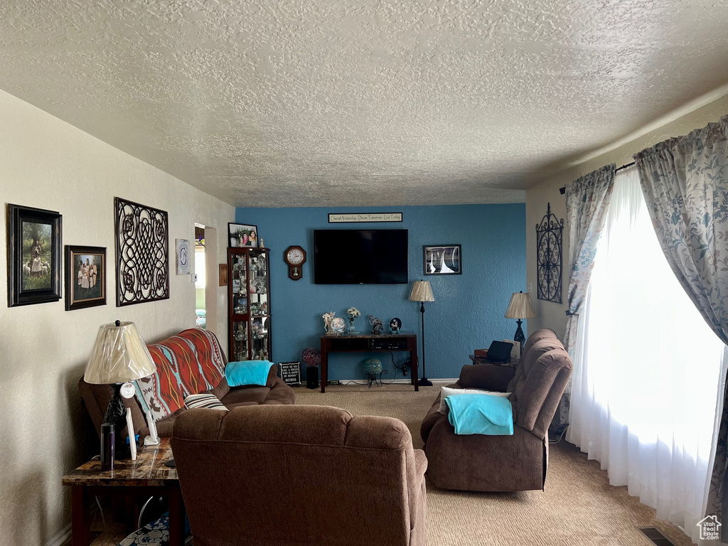 Living area with light colored carpet, a textured ceiling, baseboards, and visible vents