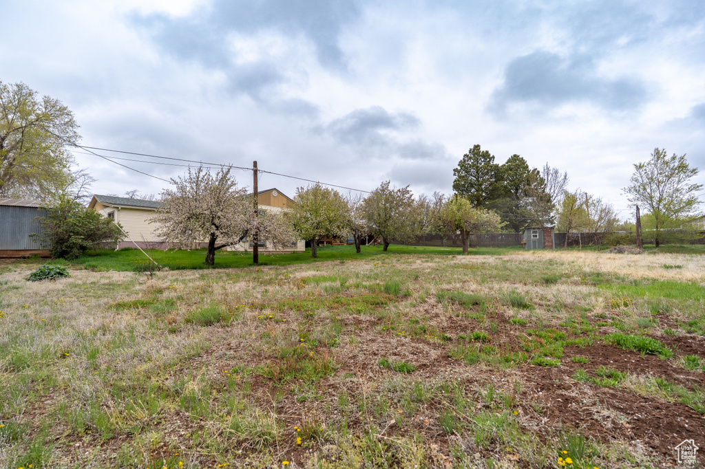 View of yard featuring an outbuilding and a shed