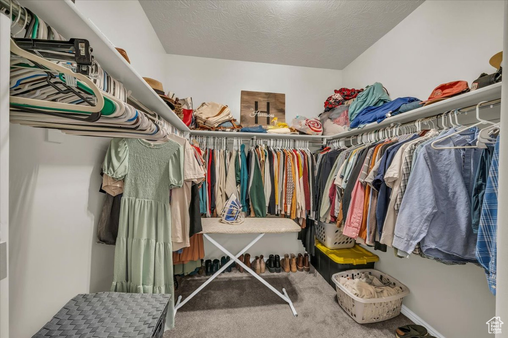 Spacious closet with carpet floors