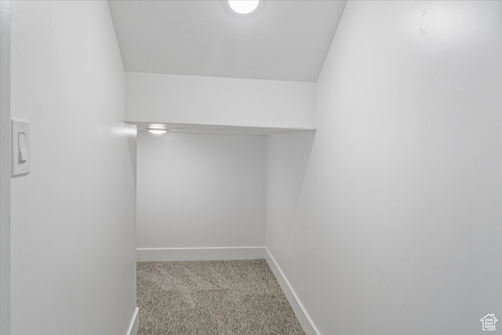 Spacious closet with carpet flooring