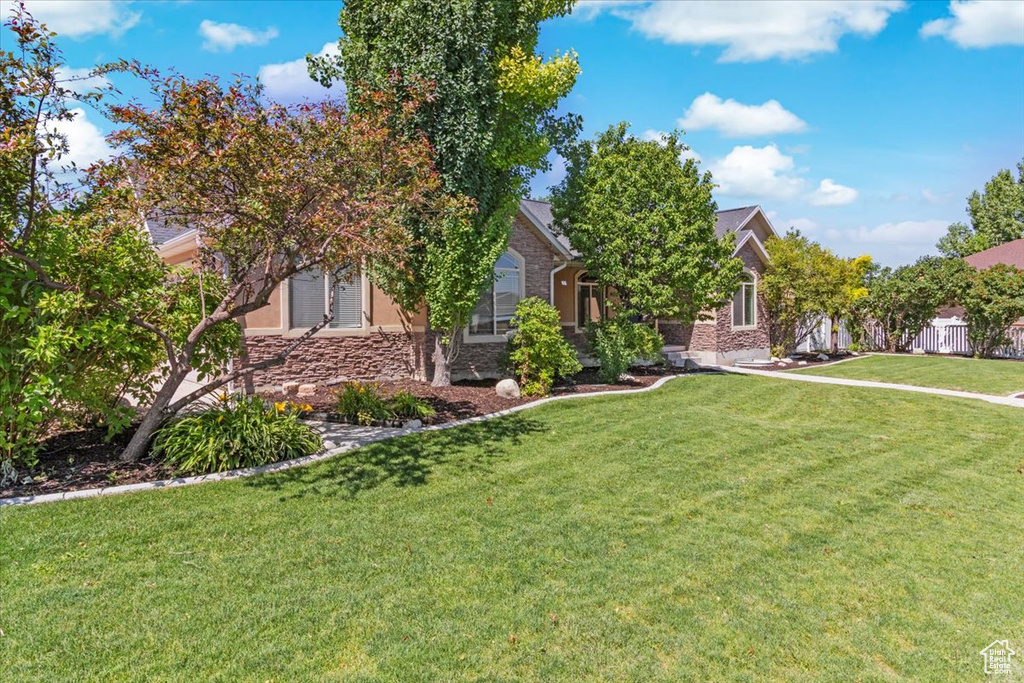 Obstructed view of property with a front lawn and stone siding