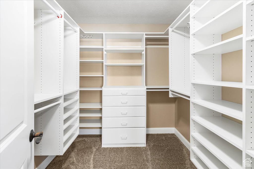 Walk in closet with dark carpet