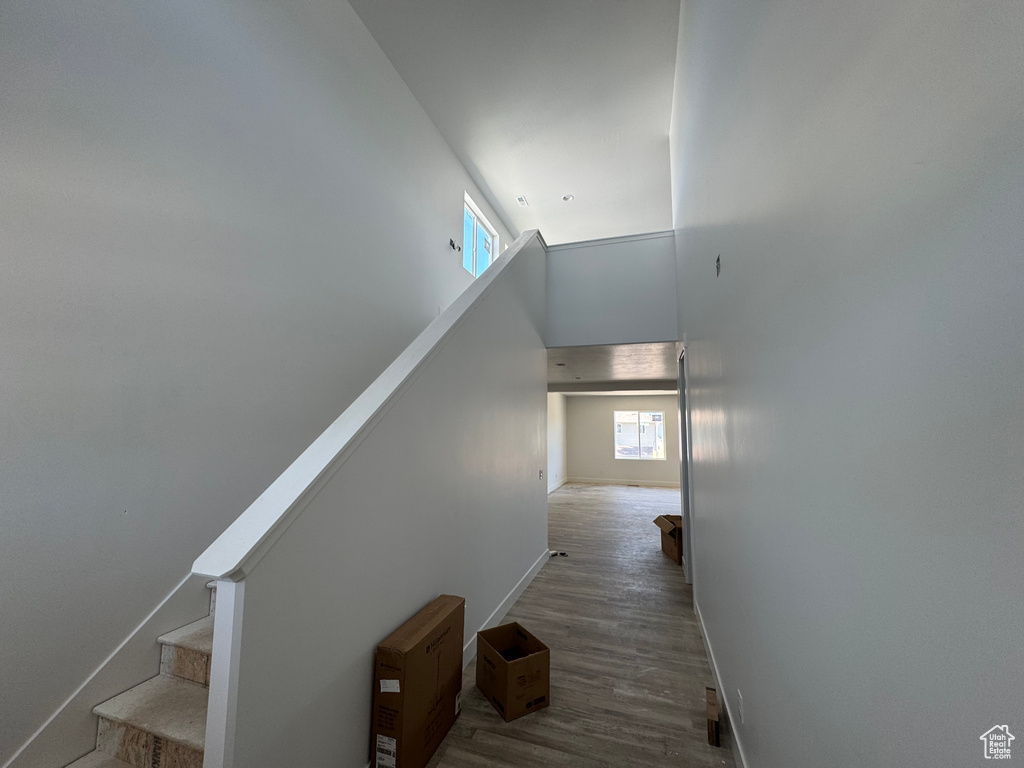 Stairs with baseboards, healthy amount of natural light, a high ceiling, and wood finished floors
