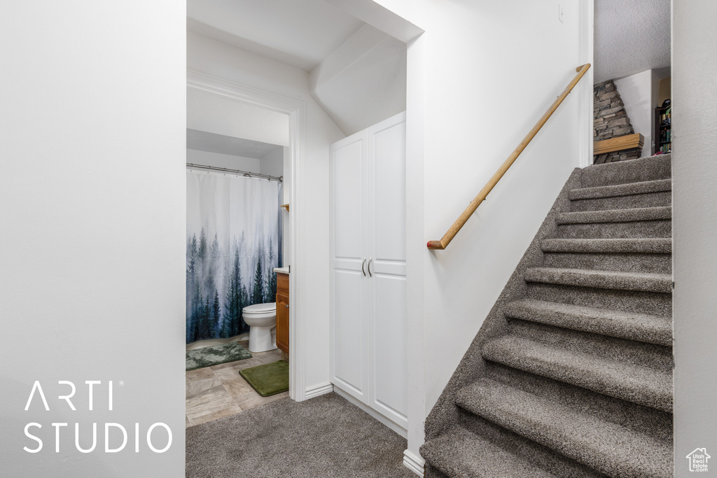 Stairs with carpet floors