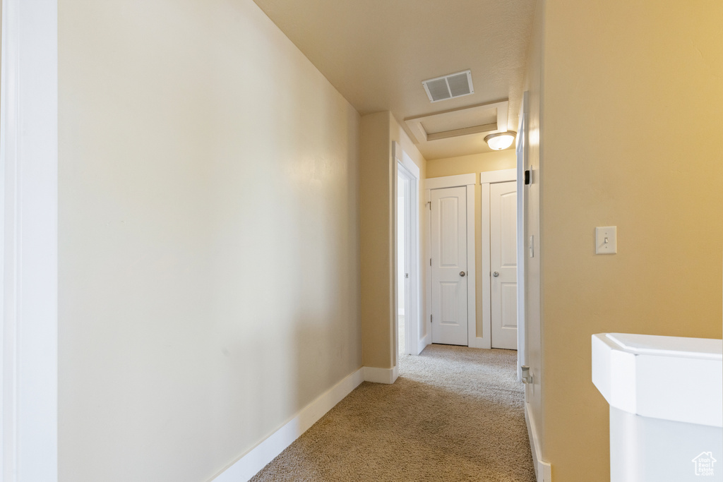 Hall with baseboards, attic access, visible vents, and light colored carpet