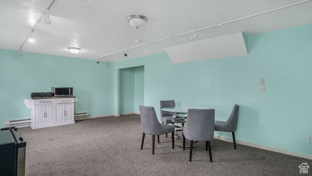 Dining area with a baseboard radiator, carpet floors, and track lighting