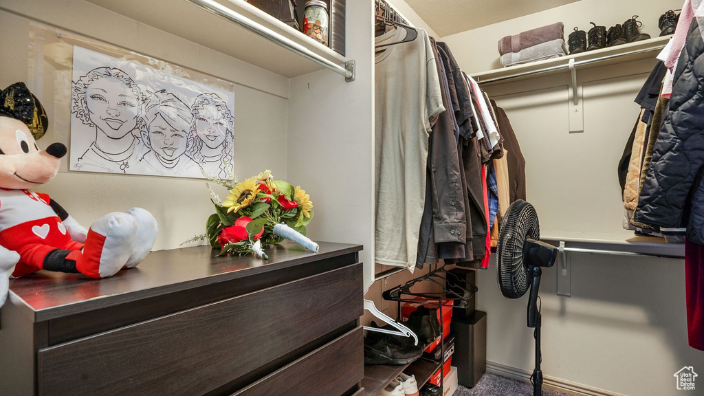Spacious closet with carpet floors