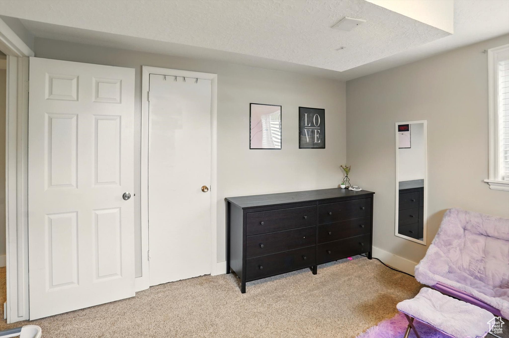 Living area with baseboards, carpet flooring, plenty of natural light, and a textured ceiling