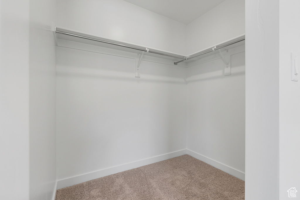 Spacious closet with carpet flooring