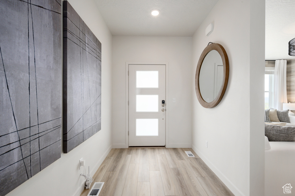Doorway with a healthy amount of sunlight, light wood finished floors, and visible vents
