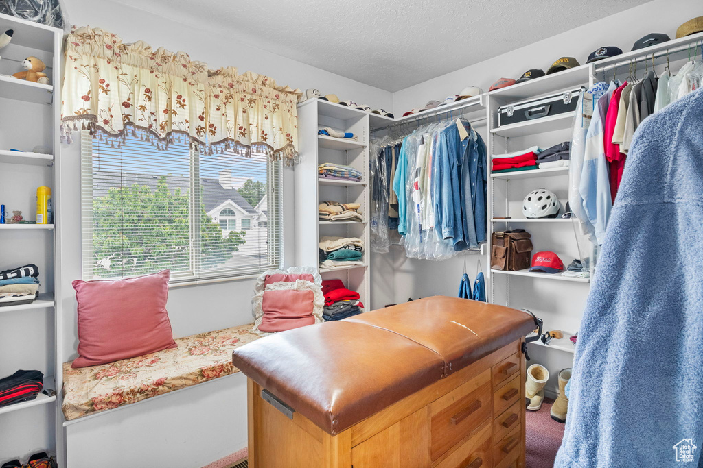 Spacious closet with carpet flooring