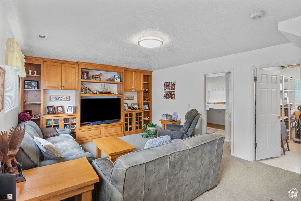 Living room featuring light colored carpet and a textured ceiling