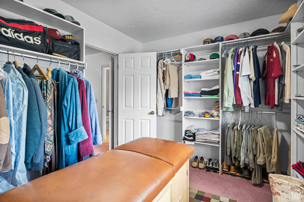 Spacious closet featuring carpet flooring